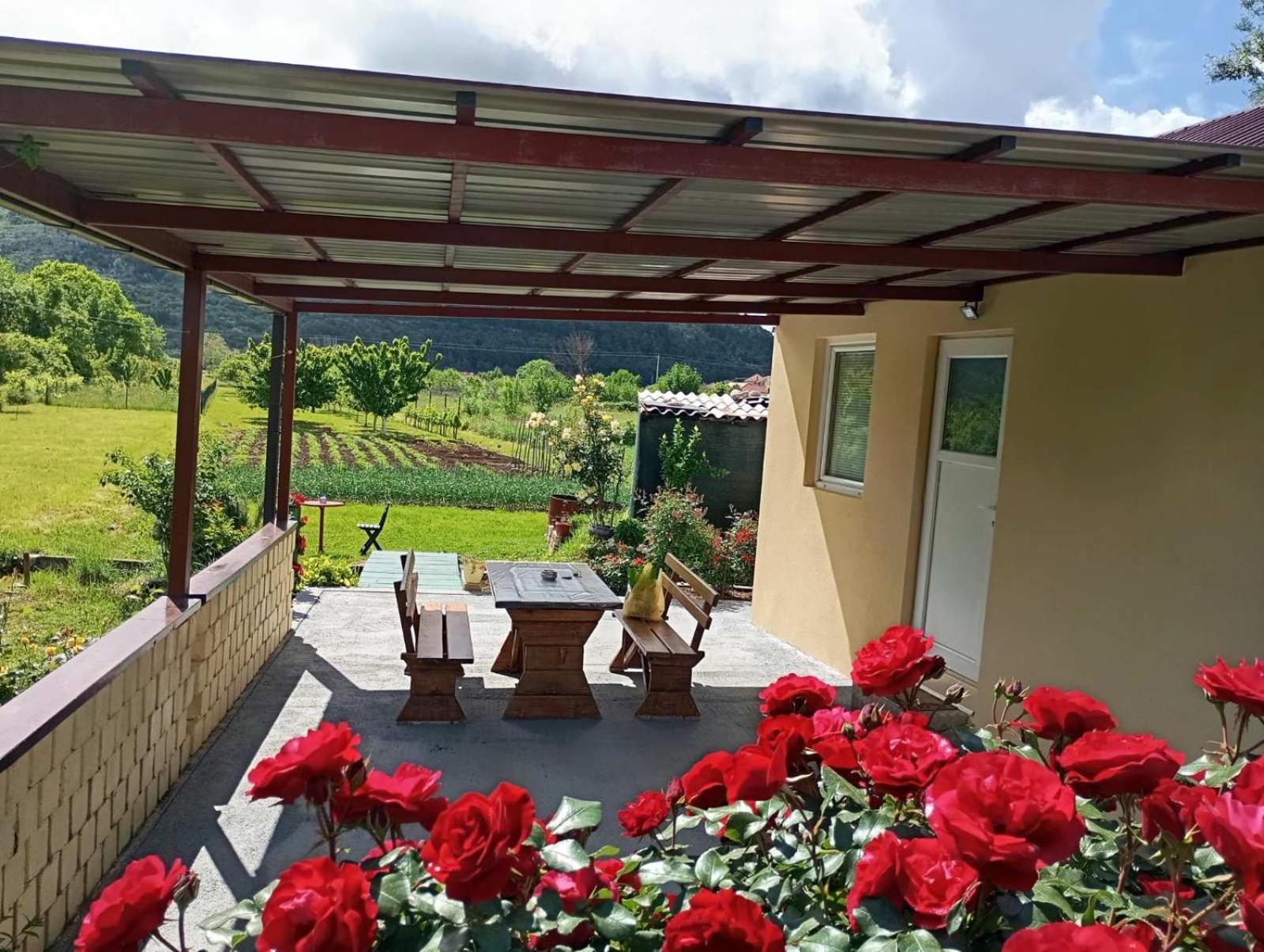 Smjestaj Dada Villa Trebinje Kültér fotó